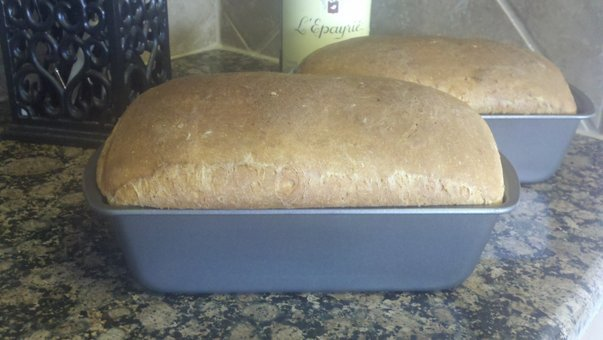 pancake buy homemade with you save  money healthy to can of make flour keep & to instead rising to make self mix how learn