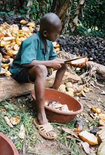 ‘slavery in the chocolate industry’ (international cocoa organization) how is the chocolate industry connected to child slave labour child labour and child slavery is a. ‘slavery in the chocolate industry’ (international cocoa organization) how is the chocolate industry connected to child slave labour child labour and child slavery is a.