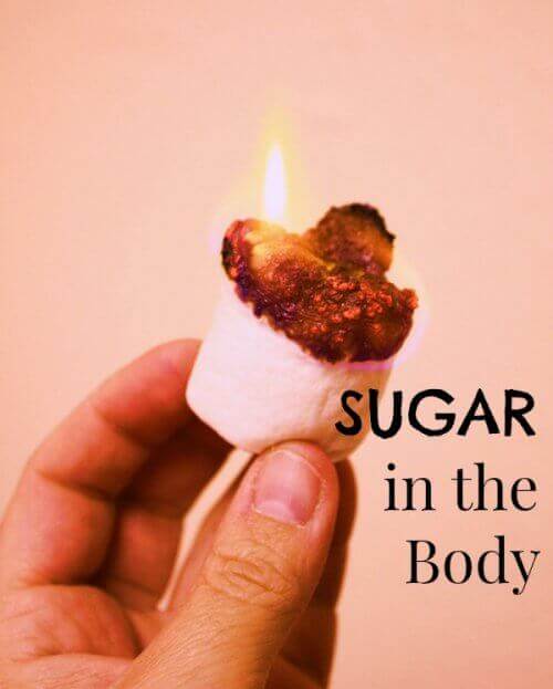 All About Sugar {KeeperOfTheHome.org}